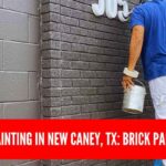 Exterior Painting in New Caney, TX: Brick Paint Ideas