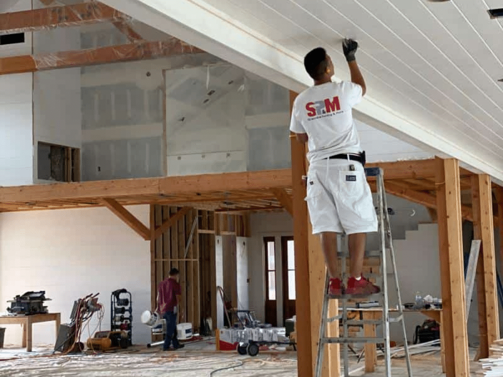 professional painting services in Houston TX