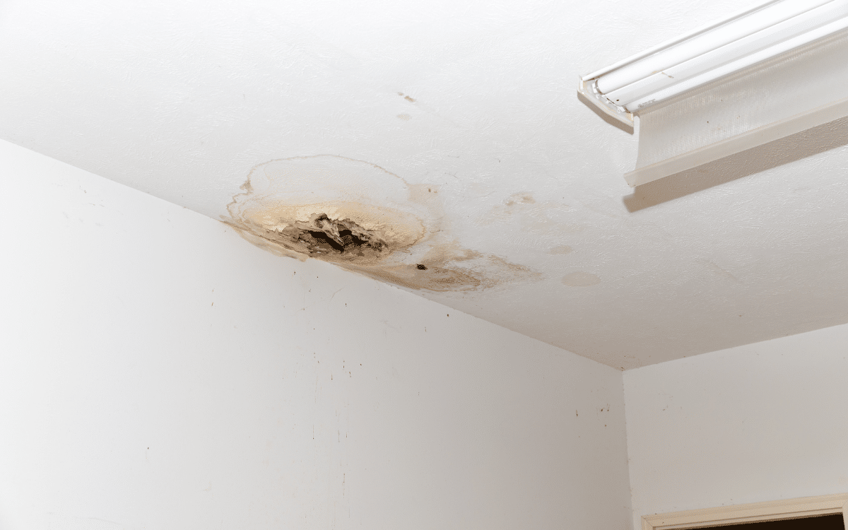 remove ceiling water stains