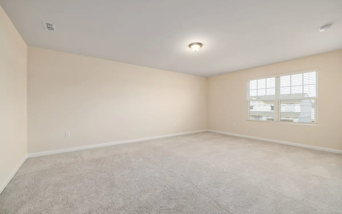 remove ceiling water stains